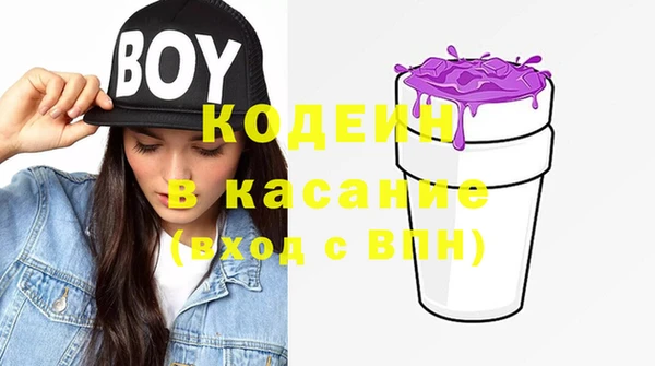 стаф Козловка