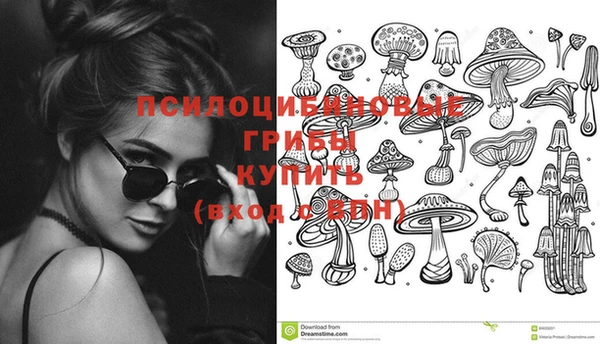 a pvp Коряжма