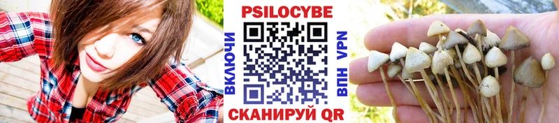 Псилоцибиновые грибы мицелий  Купить где  Исилькуль 